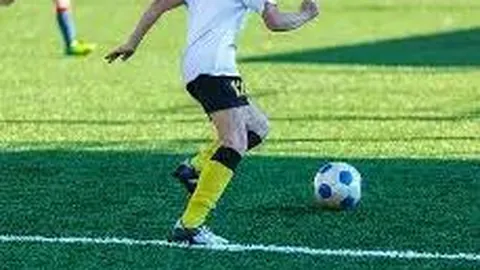 开运体育登录 资讯 142947 k7f