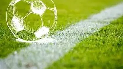 开运体育登录 资讯 142533 cu0