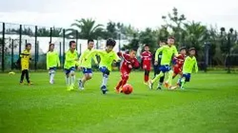 开运体育登录 资讯 113247 8fu