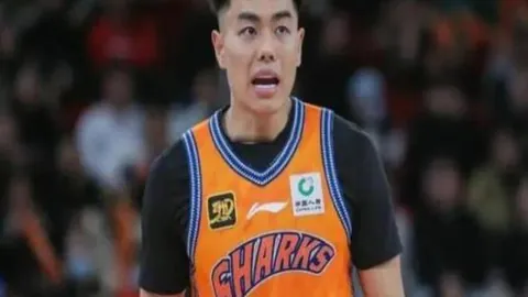 [图]詹姆斯三双表现却遭活塞逆转胜利