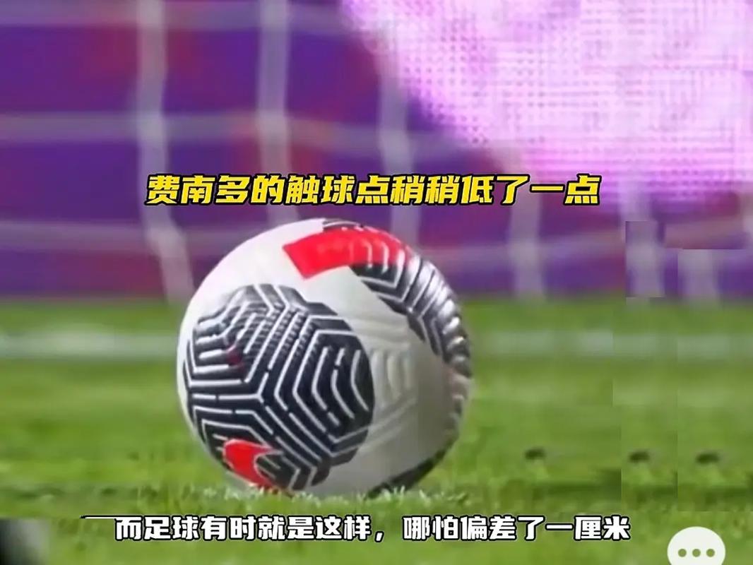 此次赛事汇
